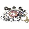 LG-MOTORS POWER ENGINEERING KIT REVISIONE MOTORE MINARELLI AM,1 2 3 4 5 6 tutti i cuscinetti e paraoli banco C3