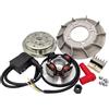 Generico ACCENSIONE VMC CONO 19 VENTOLA 1,4Kg adatto per VESPA PK 50 XL SPECIAL L R N ET3 PRIMAVERA