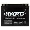 Kyoto Batteria moto Kyoto SLA GTX24HL-BS (YTX24HL-BS) AGM - Senza manutenzione - 12 V 21 Ah - Dimensioni: 205 x 87 x 162 mm compatibile con YAMAHA XV1000 Virago 1100 1986-1999