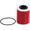 AHL 1 pezzi Moto Filtro Olio 420956123 420956120 compatibile con Can-Am Ryker 600,Ryker 900,Ryker Rally 900 2019-2024,Can-Am Maverick 1000 2013,Maverick 1000 R 2013-2018, Max 1000 R 2013-2018