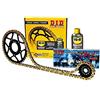 D.I.D DID 101209+_8434290116448, Kit Trasmissione S-AC+2 15-44-108 DID520VX3 (G&B) R Unisex-Adult, Other, Taglia Unica