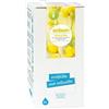 Sodasan Sapone liquido agrumi oliva, 5 Litri, sapone naturale, ricarica