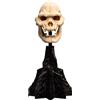 Weta Workshop Miniaturowa figura czaszki Lurtza 14 cm od Weta Workshop - Władca Pierścieni