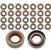 UYTGFO Adatto for Stihl FS80 FS85 FS90 FS120 FS200 FS250 FS300 FS380 FS400 FS450 FS480 HS81 HS81R HS81RC HS81T Trimmer 30 pezzi Paraolio