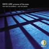 VIDOL Prisoner Of The State