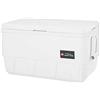 PARACHINI shop GHIACCIAIA Originale Igloo 45 LT Sedile Vasca del Vivo Barca GOMMONE ROULOTTE