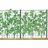 STOCKER Rete rampicante 2 x 10 m