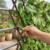 Home Tresor Siepe Artificiale Con Foglie Su Traliccio Estensibile in Legno Salice Divisorio Ringhiera Recinzione Edera Giardino Frangivista Ornamentale Sintetica Balcone 1x2 mt (2 Pezzi)