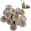 WRYIP Compresse Sorgenti di Torba, Terriccio di Cocco Pressato per Coltivazione, Terriccio per Piantine e Semi (10 Pezzi)
