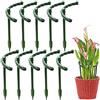 ZYWUOY 6 gabbie di supporto per piante da giardino, bastoni per piante, in plastica, per piante, per verdure, tulipani, rose, margherite