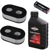 perfektGarten Candela di accensione + filtro + olio tosaerba compatibile con Briggs & Stratton B&S BS 625E 650EX 675EXI