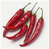 SemiSauvage 35 Semi di Peperoncino Kashmiri - SemiSelvaggio Permacultura
