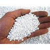 Geosism & Nature - Perlite per Piante in Vaso, Ideale per Bonsai, Cactus, Giardino, Orchidee, Orto, Piante Carnivore (1 kg, 2/6 mm)