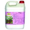 Vialca Alga Plant CONCIME Biologico ESTRATTO di ALGHE Marine X Piante da FRUTTO, Vite, OLIVO E AGRUMI 1LT-5LT-25LT (LT.1)
