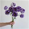 Generic 800 pz Assaggia i semi di eustoma, Decorazione soggiorno Lisianthus, Eustoma grandiflorum Aiuola, piante da giardino rocciose resistenti Fiori, aiuola di erbe Semi di fiori di campo