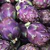 Generic - Carciofo alto - 20 semi - Violette de Provence - Héritage italien - NPWS:Graines