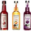 Fruchtwerker Set di aceto e frutta, diverse varietà, fruttato, aceto di frutta, puro vegetale, dolce, in bottiglie di vetro (ciliegia + arancia + mora)
