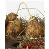 Raspada CACIOCAVALLO IN GROTTA PUGLIESE Kg. 1,50 Circa € 75,00
