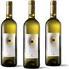 Cantina Mingazzini Euporja - Pignoletto Frizzante DOC - 3 bottiglie (annata 2025)