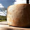 Inke 3.8 kg - Pecorino biologico a caglio vegetale