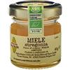 Apicoltura Colle Salera Miele biologico di Stregonia - Italiano non Pastorizzato | Apicoltura Colle Salera (40 gr)