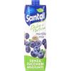 Generico Santal Dolce Natura Succo di Mirtillo Senza Zuccheri, 1 L, Confezione da 12 Brick
