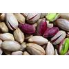 YesEatIs A RICCHIGIA-PISTACCHIO DI BRONTE D.O.P. IN GUSCIO CONFEZIONE DA 1 KG.