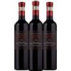 ALBINO ARMANI - Valpolicella RECIOTO Tasting - Confezione da 3 bottiglie x 500 ml - 3x Recioto della Valpolicella DOCG