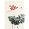 Hiseng Noren Tenda Giapponese della Porta Tappezzeria, Divisorio Stile Curtain Tapestry Cucina Ristorante Negozio Camera Doorway Corridoio Decorazione (Nelumbonaceae,100x180cm)