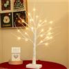 DELICHTER - Albero luminoso con 24 LED bianco caldo, albero di betulla con funzione timer, decorazione a batteria, decorazione natalizia per casa, feste, Natale, Pasqua, matrimonio, 55 cm