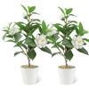 JINXIAN 2 piante artificiali, camelia bianca, 33 cm, con vaso di plastica, piante artificiali, come veri fiori finti, per bagno, davanzale, balcone, soggiorno, ufficio, decorazione della casa