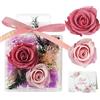 Cynrikah Rosa Stabilizzata, Vera Regalo Donna Regalo Rose Stabilizzate con Ornamenti in Acrilico, Anniversario Compleanno Regali Festa della Mamma Donna Nonna Mamma(Rosa)