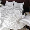 GENPICONG Set di Biancheria da Letto in Seta con Copripiumino, Lenzuolo, Federa, Lenzuolo in Raso di Lusso, Tinta Unita, King Size, Queen Size, Full Size, Twin Size