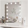 Dripex Specchio da Trucco Hollywood 40 X 52 CM con 14 Luci Led Dimmerabili Tre Colori di Luce e Funzione di Luminosità Regolabile con Controllo Tattile, Montato a Parete o sul Tavolo