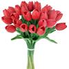 HAOSHICS 30 steli di tulipani artificiali in lattice finto - vero tocco finto colorato, per bouquet di Pasqua, primavera, matrimoni, centrotavola e composizioni floreali, decorazione da tavola (rosso)
