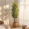 BLAINE | Ficus 180cm | Piante Artificiali Decorative | Pianta Artificiale Grande | Piante Artificiali per Interni/Esterni | Pianta Artificiale Realistica Decorativa per la Casa