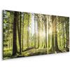 murando Quadro Bosco 200x80 cm 5 pezzi Stampa su tela XXL Immagini moderni Murale Fotografia Grafica Decorazione da parete Bosco Foresta Natura Panorama Albero c-C-0177-b-n
