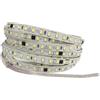 TOPXCDZ Striscia LED da 5 m, 10 m, 20 m, AC, 220 V, 240 V, non necessita di driver, IP30, 3000 K, 4000 K, 6000 K, 2835, 120 leds/M, luce a nastro flessibile (6000 K, bianco freddo, 5 m)