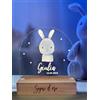 Pixel Artigiani Digitali Pixel® Lampada personalizzata con nome luce notturna per bambini bambina neonato con animali Idea regalo nascita bimbo bimba battesimo compleanno Regalo Natale per neonati Personalizzato (Coniglio)