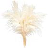 MISNODE 5 pezzi di erba secca pampa, erba artificiale da 40,5 cm, rami di erba pomposa, extra large, erba artificiale bouquet decorazione per la casa, bianco