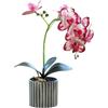 Generico Orchidea Artificiale a Otto Teste Orchidee Bianche in Vaso Fiore di Orchidea Finto con Vaso di Fiori Decorazione per Bagno e Camera da Letto Fiore (rosa rossa)