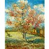 Liziciti Kit per Pittura a Mosaico 5D con Diamanti per Adulti, Punto Croce con Strass delle Opere Maestre di Van Gogh 30x40cm (Fiori di Pesca Fioriti)