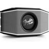 Teufel Fender x Teufel ROCKSTER GO 2 - Altoparlante Bluetooth Portatile impermeabile IP67 per esterni, con Batteria di lunga durata (28 ore), streaming musicale wireless, scheda audio USB - Steel Black