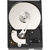 Western Digital 320 GB IDE Hard Disk Drive WD3200JB