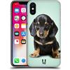 Head Case Designs Cucciolo di Bassotto Seduto Razze Famose di Cani Custodia Cover Dura per Parte Posteriore Compatibile con Apple iPhone X/iPhone XS