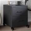 HaoChrymec Comodino Moderno in Acciaio Antracite, con 2 Cassetti e Ruote, Design Industriale, Cassettiera Camera da Letto o Tavolino da Divano, 36 x 39 x 43.5 cm