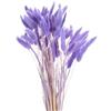 QUARKZMAN 60pz Coda di Coniglio Naturale Fiori Secchi 43cm Mini Erba di Pampa per Decorazioni Floreali Matrimonio Natale, Viola