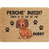 fashwork Tappeto PERSONALIZZATO con nome cane divertente Bassotto Perchè bussi? Zerbino in poliestere 60x40 cm