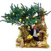 Joy Christmas Pastore per Presepe in Movimento 17 cm x 17 cm Il Raccoglitore di Limoni