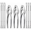 Pssopp Set di Utensili per Frutti di Mare, 12 Pezzi, Pinze e Forchette per Granchio, Aragosta, Ostriche, Gamberetti, Colore Argento